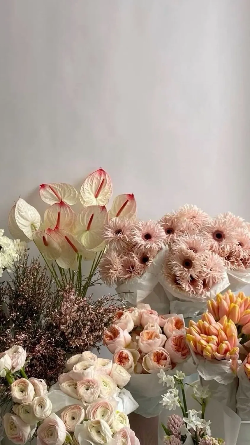 รานันคูลัสและดอกไม้สดในสตูดิโอ